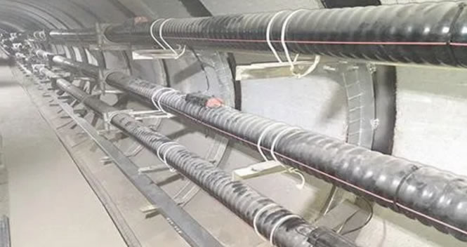 �����|�l�����ϳ�Ҋ��ԭ������Щ��