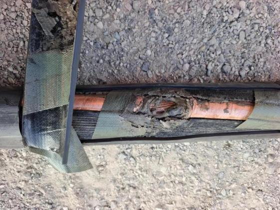 �����c������Ƭ